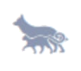 Dog walking services